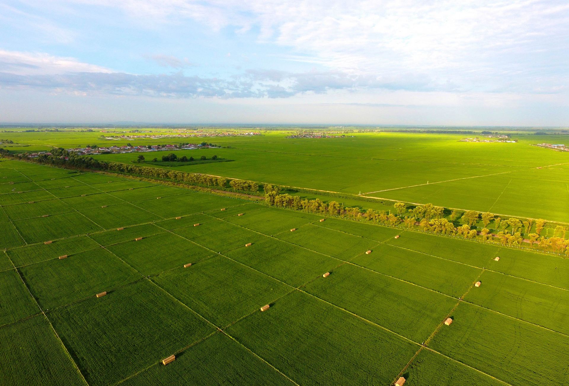 Aligning with high international standards, Qiaofu Courtyard Agriculture has been awarded the EU Organic Certification under Regulation (EU) 2018/848.-191-1