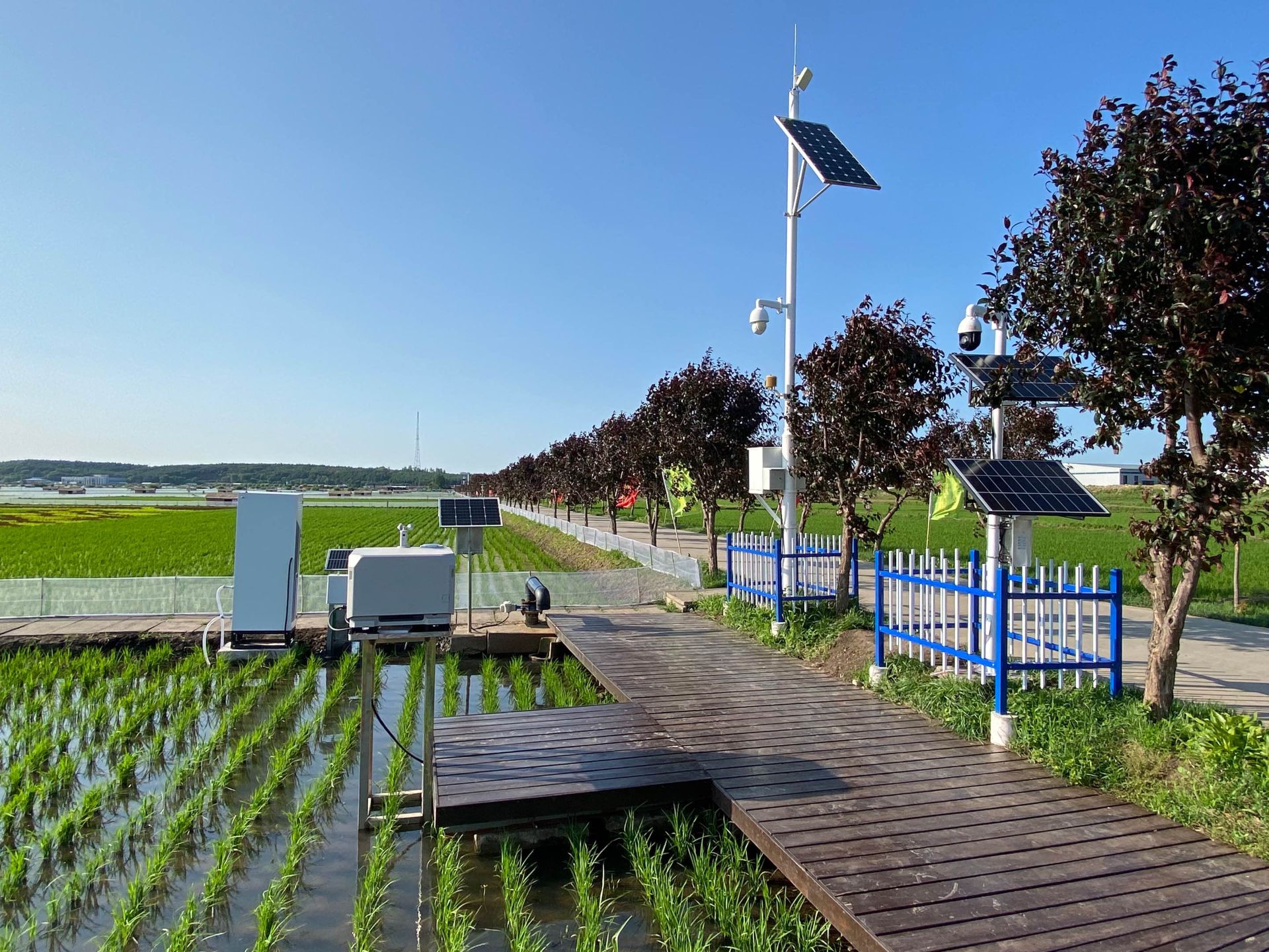 Aligning with high international standards, Qiaofu Courtyard Agriculture has been awarded the EU Organic Certification under Regulation (EU) 2018/848.-191-4
